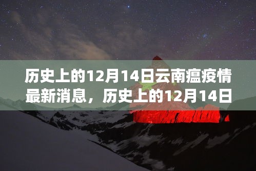 历史上的12月14日云南疫情深度分析与全面评测报告，最新消息与深度探讨