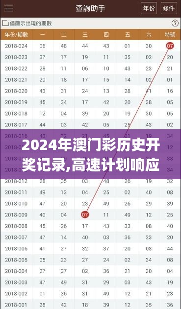 2024年12月17日 第14页