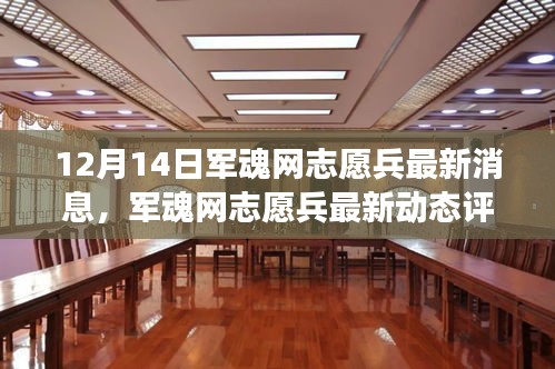 军魂网志愿兵最新动态与深度评测，产品特性与用户体验深度剖析