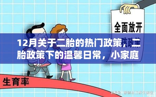 二胎政策下的温馨日常，小家庭欢乐与成长，12月最新政策解读