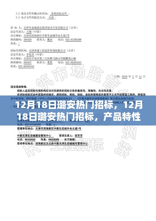 12月18日璐安热门招标深度解析，产品特性、用户体验与目标用户群体探讨