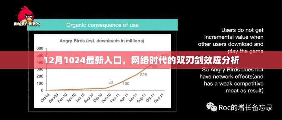 网络时代双刃剑效应解析，12月最新入口下的挑战与机遇