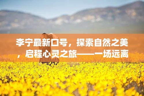 李宁新口号引领，探索自然之美，启程心灵之旅的奇妙探险之旅