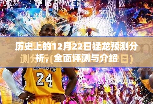 历史上的12月22日猛龙预测分析，全面解读与介绍