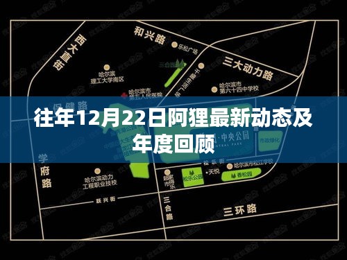 阿狸最新动态及年度回顾，历年12月22日回顾总结