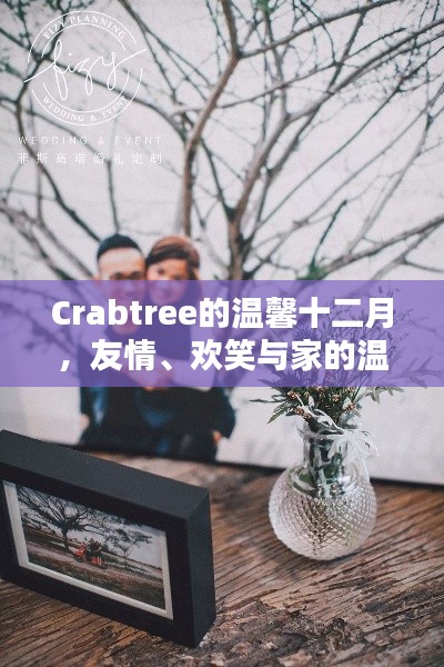 Crabtree的温馨十二月，友谊、欢笑与家的温馨齐聚一堂