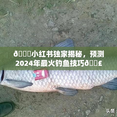 小红书独家揭秘，预测2024年最火爆钓鱼技巧大公开🎣