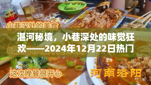 湛河秘境美食狂欢，小巷深处的味觉盛宴——热门菜推荐店 2024年12月22日精选