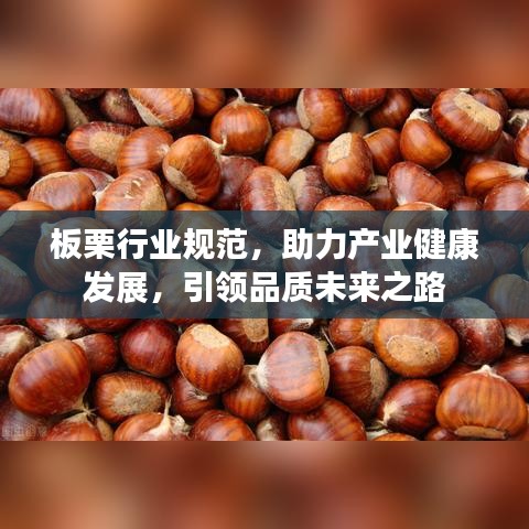 板栗行业规范，助力产业健康发展，引领品质未来之路