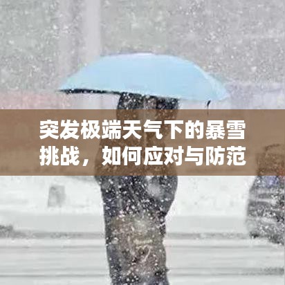 突发极端天气下的暴雪挑战，如何应对与防范？