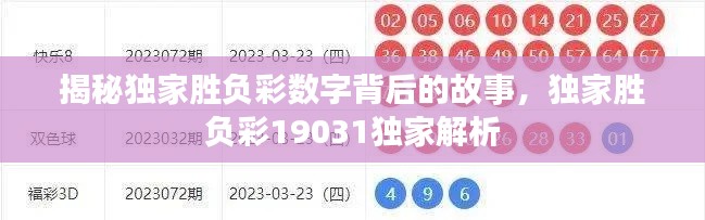 揭秘独家胜负彩数字背后的故事，独家胜负彩19031独家解析