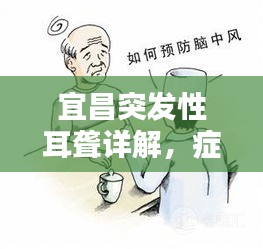 宜昌突发性耳聋详解，症状、治疗与预防全攻略