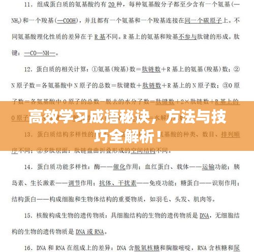 高效学习成语秘诀，方法与技巧全解析！