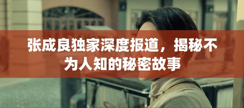 张成良独家深度报道，揭秘不为人知的秘密故事