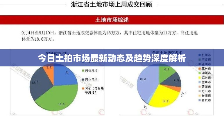 今日土拍市场最新动态及趋势深度解析