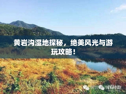 黄岩沟湿地探秘，绝美风光与游玩攻略！