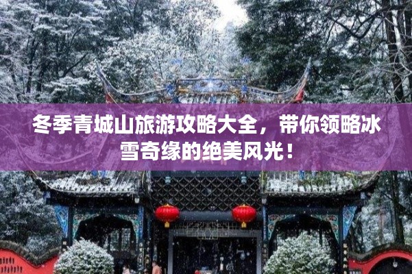 2025年5月11日