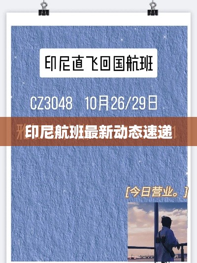 印尼航班最新动态速递