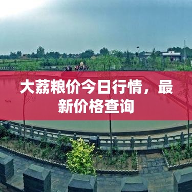 大荔粮价今日行情，最新价格查询