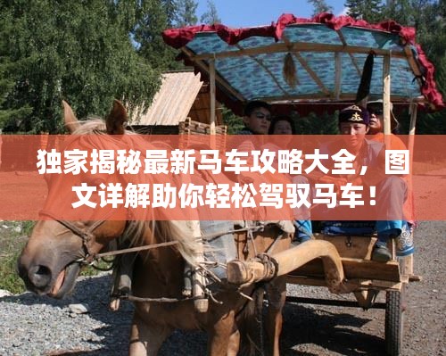 独家揭秘最新马车攻略大全，图文详解助你轻松驾驭马车！