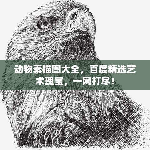 动物素描图大全，百度精选艺术瑰宝，一网打尽！