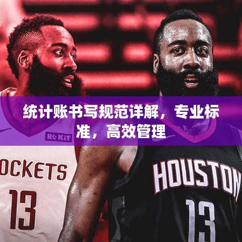 统计账书写规范详解，专业标准，高效管理
