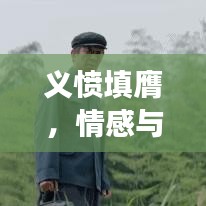 义愤填膺，情感与行动的交织，引发深度共鸣的时刻