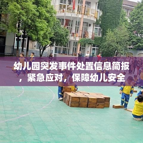 幼儿园突发事件处置信息简报，紧急应对，保障幼儿安全