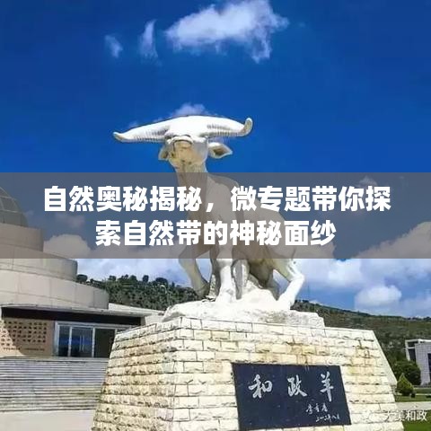 自然奥秘揭秘，微专题带你探索自然带的神秘面纱