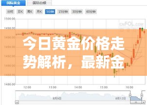 今日黄金价格走势解析，最新金价及波动因素全揭秘