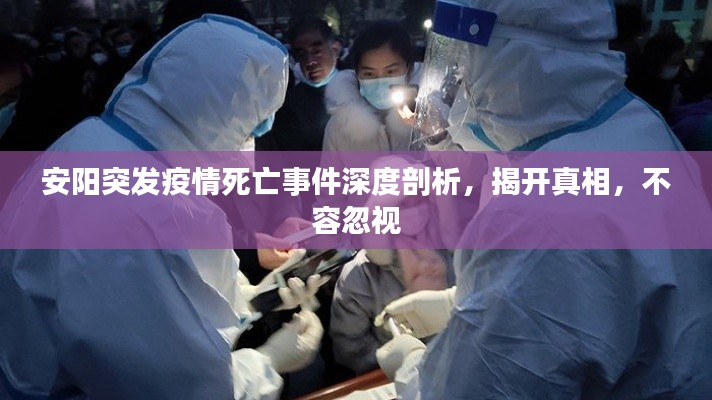 安阳突发疫情死亡事件深度剖析，揭开真相，不容忽视