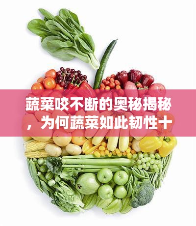 蔬菜咬不断的奥秘揭秘，为何蔬菜如此韧性十足？
