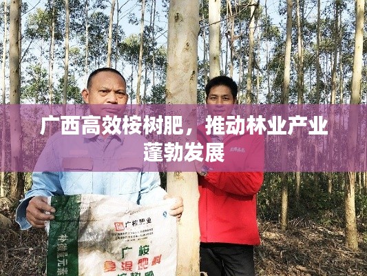 广西高效桉树肥，推动林业产业蓬勃发展