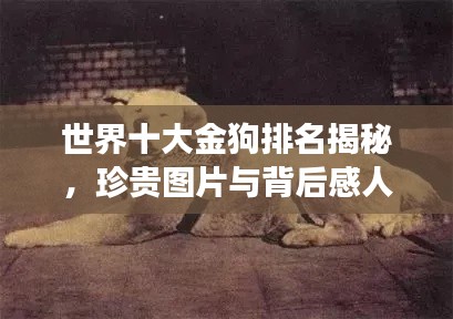 2025年5月28日