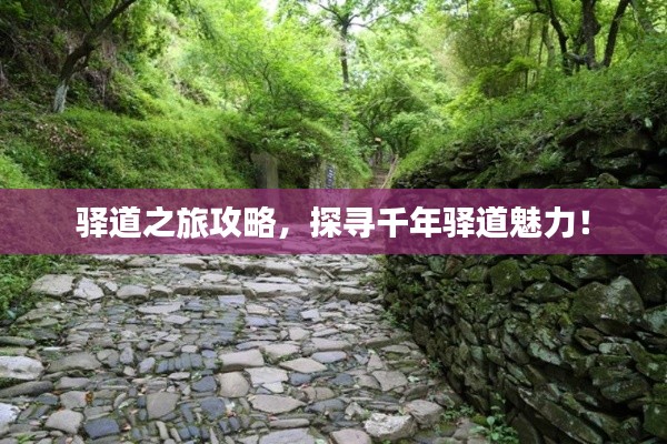 驿道之旅攻略，探寻千年驿道魅力！
