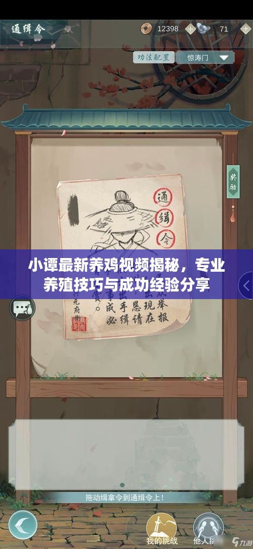 小谭最新养鸡视频揭秘，专业养殖技巧与成功经验分享