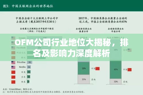 OFM公司行业地位大揭秘，排名及影响力深度解析
