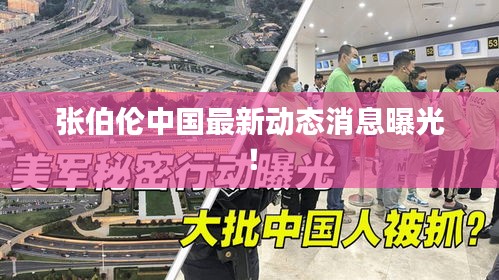 貌美如花