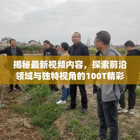 2025年6月 第13页
